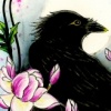 crow mags