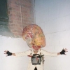 Performances