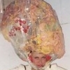 I have a lot on my mind- (brain head) 2005
