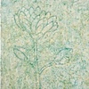 Hifumi Ogawa
Snow Flower
