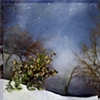 Crissy Welzen
"Snowfall"
