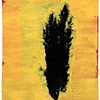 Stan Taft
"Roma Tree 1"
