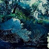 June Yokell
"Everlasting"