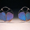 Luana Coonen
"Morpho Encasements"