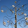 Kitty Gordon
"Flower Spiral"