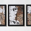 George-Ann Bowers
"Triple Exposure"
