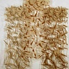 Joy Stocksdale
"Pine Needles" 