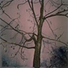 Crissy Welzen
"Single Tree"
