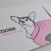 Keara Fallon - Director of User Interface and Visual Design at Metrik 
"Pink Nose"