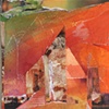 Mira M. White
"Under Construction"