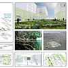 Mat Heitel
Urban Wetlands"
