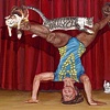 Julie Alvarado
"CatCircus"