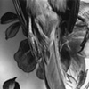  Black Moon
"En Pointe"
