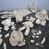 Naoko Okabe
"Once We were Bears"