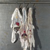 Julia Feldman
"3 Carcasses"

