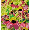 Raymie Iadevaia
"Pinky"