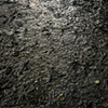 Sean Jerd
" Leaves "