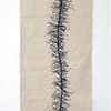 Jennifer Langhammer (nee Rapuano)
"Where Ever You Go"
