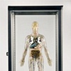 Andrew J,Phares  
"The Visible Man"