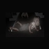 Ginny Mangrum
Night Move Portraits Series  Play
