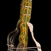 Tari Kerss 
"Light Sculpture V, Illumination" daylight