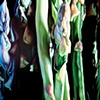 Lisa Jacyszyn
"Springtime Fresh"