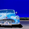Charles Dennis McDevitt
"Blue On Blue"