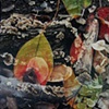 Hugo Steccati
"Leaves"
