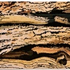 George-Ann Bowers
"Bristlecone"