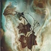 Claudia Wornum
"Cucumbervine"