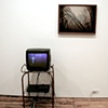 Tracy Timmins
Counting,&nbsp; video and landscape painting
