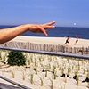Stephen Wolf
"Asbury Park"
