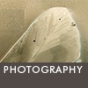 PHOTOGRAPHY