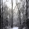David Francis Medwith
Snow 
