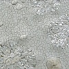 Sonia King
"Permafrost"
