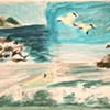 Pacific/study