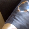 Hotel Phillips Sofa Pillow