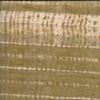Shibori Pleated Green