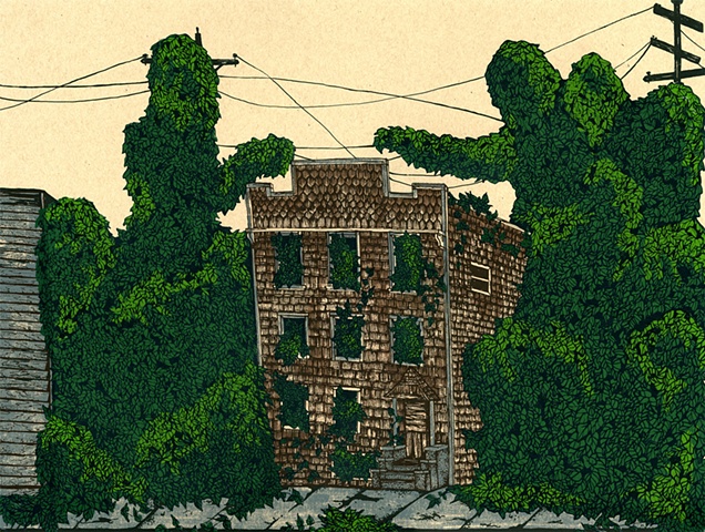 Kudzu