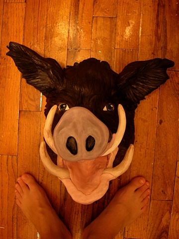 Boar