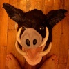 Boar
