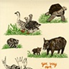 Yer Very Own Barnyard Critters