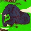 Appalachian Elephant