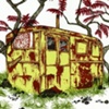 Sumacs