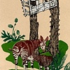 Okapis and Treehouse