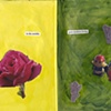 The Sketchbook Project 2012
