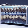 Spring Ruffles