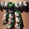 Lily of the Valley