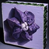 Purple Drop-Spin Flower