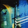 Urban Rainbows 
